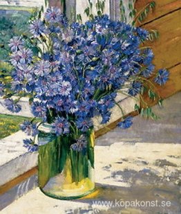 Blåklint i en solstråle Blåklint i en solstråle