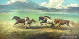 Hästar Hästar