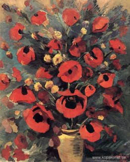 Vilda vallmo Vilda vallmo