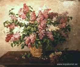 Syrener i en korg Syrener i en korg