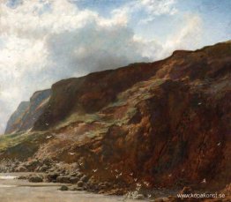 Dagen efter stormen Dagen efter stormen