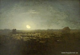 Fårgården, månsken Fårgården, månsken