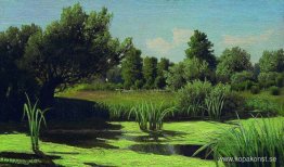 Landskapet. Vassen i floden. Landskapet. Vassen i floden.