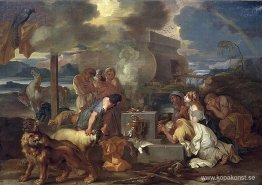 Noas offer Noas offer