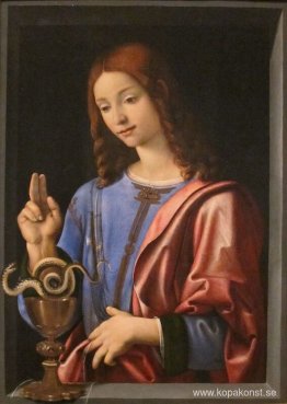 Evangelisten Johannes Evangelisten Johannes