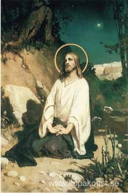 Kval i trädgården Kval i trädgården