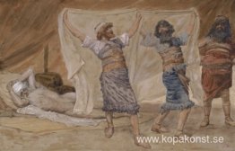 Noahs fylleri Noahs fylleri