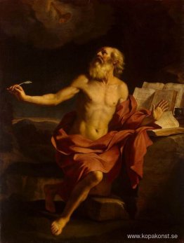 St Jerome i vildmarken St Jerome i vildmarken