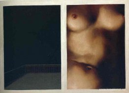 Den förklädda symbolen Den förklädda symbolen