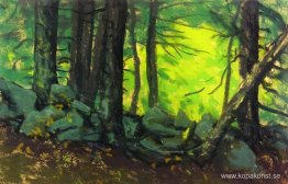 Stenmuren med skogen Stenmuren med skogen