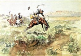 Bronco Busting Bronco Busting