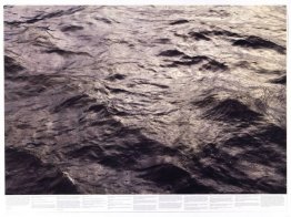 Utan titel (från serien Still Water (Texempel Themsen)) Utan titel (från serien Still Water (Texempel Themsen))