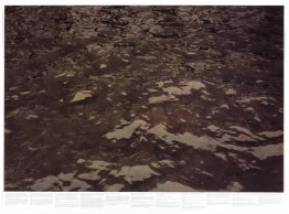 Utan titel (från serien Still Water (Texempel Themsen)) Utan titel (från serien Still Water (Texempel Themsen))