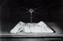 Mystisk nejlika Mystisk nejlika