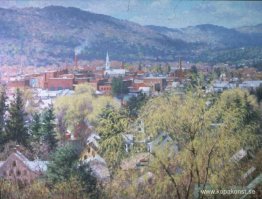 Spring Willows Spring Willows