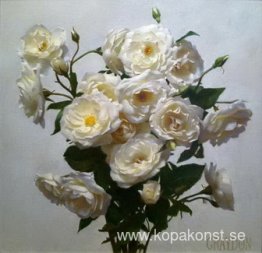 Vita rosor Vita rosor