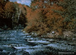 Utbrott av hösten Utbrott av hösten