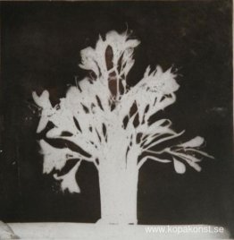 Blommor På Ett Fönster Blommor På Ett Fönster