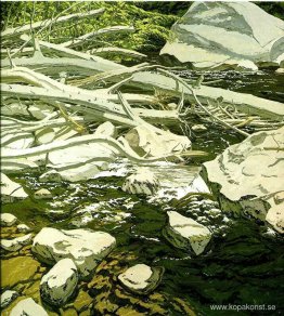 Högvattenmärke Högvattenmärke