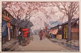 Avenue of Cherry Trees Avenue of Cherry Trees