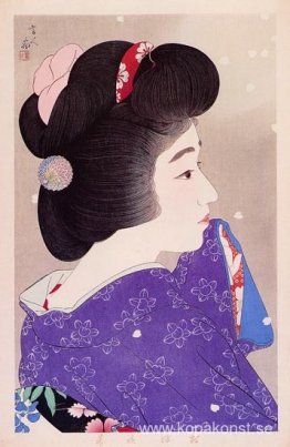 Dimmig vår Dimmig vår