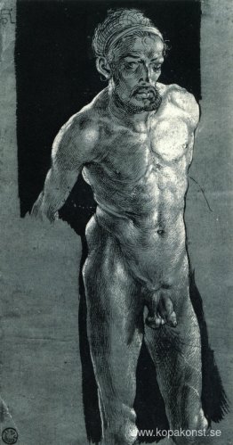 Naken Sel-porträtt Naken Sel-porträtt