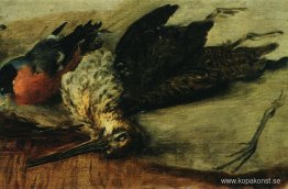 ripa och domherre. Studera ripa och domherre. Studera