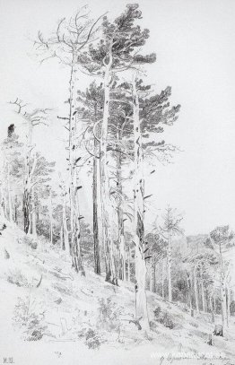 På toppen av Ai-Petri På toppen av Ai-Petri