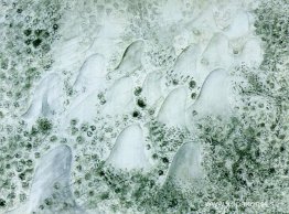 Studie för deoxiribonukleinsyraaraber Studie för deoxiribonukleinsyraaraber