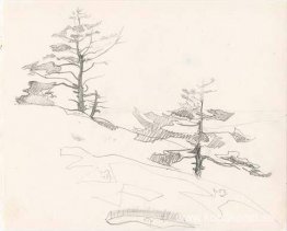 Monhegan (studie) Monhegan (studie)