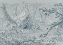 Fontänen, nr 10 Den sårade indianen släcker sin dödstörst Fontänen, nr 10 Den sårade indianen släcker sin dödstörst