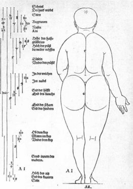 Bakifrån av honan Bakifrån av honan