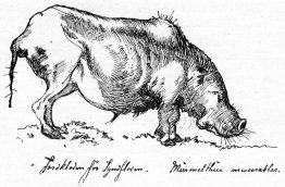 Jordklotet Jordklotet