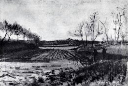 Potatisfält bakom sanddynerna Potatisfält bakom sanddynerna