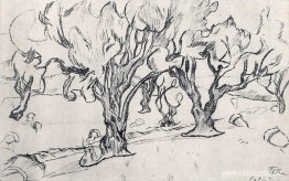 Spanien. Kaldetes. Oliva. Spanien. Kaldetes. Oliva.