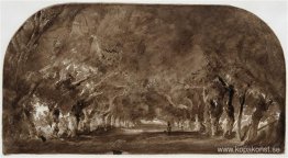 Allén med kastanjeträd Allén med kastanjeträd