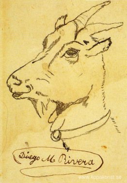 Huvud av en get Huvud av en get