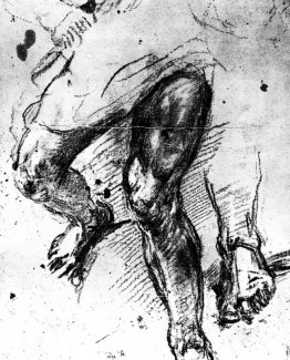 Studie av ben Studie av ben