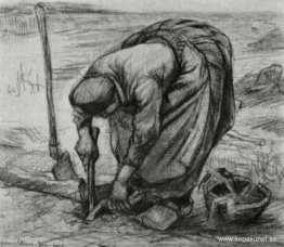 Bondekvinna som planterar rödbetor Bondekvinna som planterar rödbetor