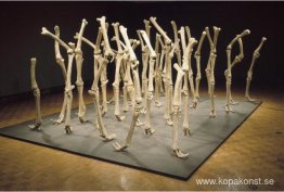 Variabilitet av liknande former Variabilitet av liknande former