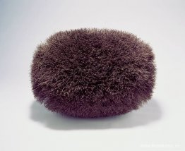 Borste Blp Borste Blp