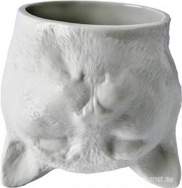 Katt Katt