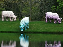 Kor: Mo, Ni, Que Kor: Mo, Ni, Que