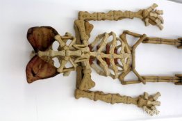 Mannen med grisöronen Mannen med grisöronen