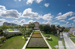 Linjer i fyra riktningar i blommor Linjer i fyra riktningar i blommor
