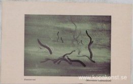 ? (Hypnagogisk rörelse) ? (Hypnagogisk rörelse)