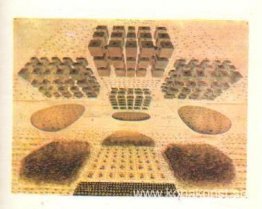 Illustration för Nichita Stanescus knutar och tecken Illustration för Nichita Stanescus knutar och tecken