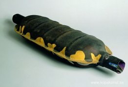 Termitenkönig Termitenkönig