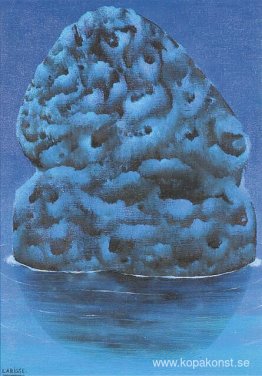 Libidoscaphe svamp Libidoscaphe svamp