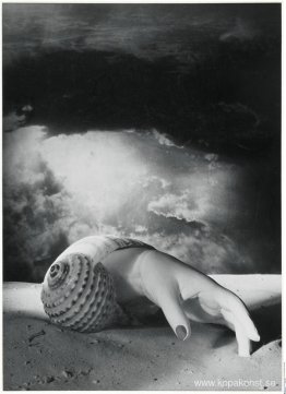 Sans Titre (Main-coquillage) Sans Titre (Main-coquillage)